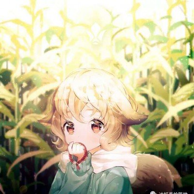 榴莲仅退款商家拒绝调解